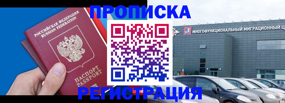 прописка для школы в Заполярном